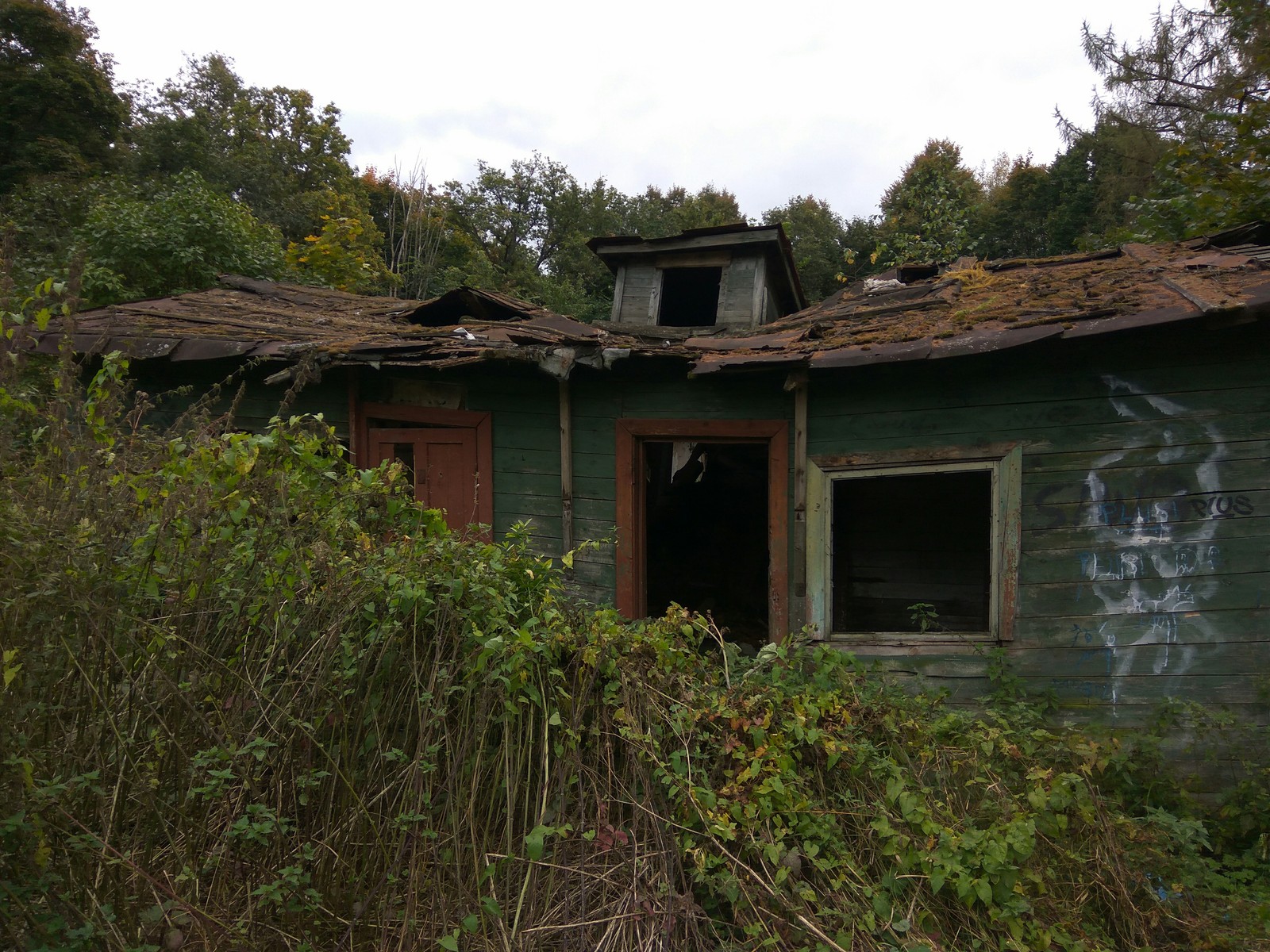 What can be found in the forest park - My, Forest, Forest Park, Track, Longpost, Squirrel, Abandoned house, Throne, Ski track