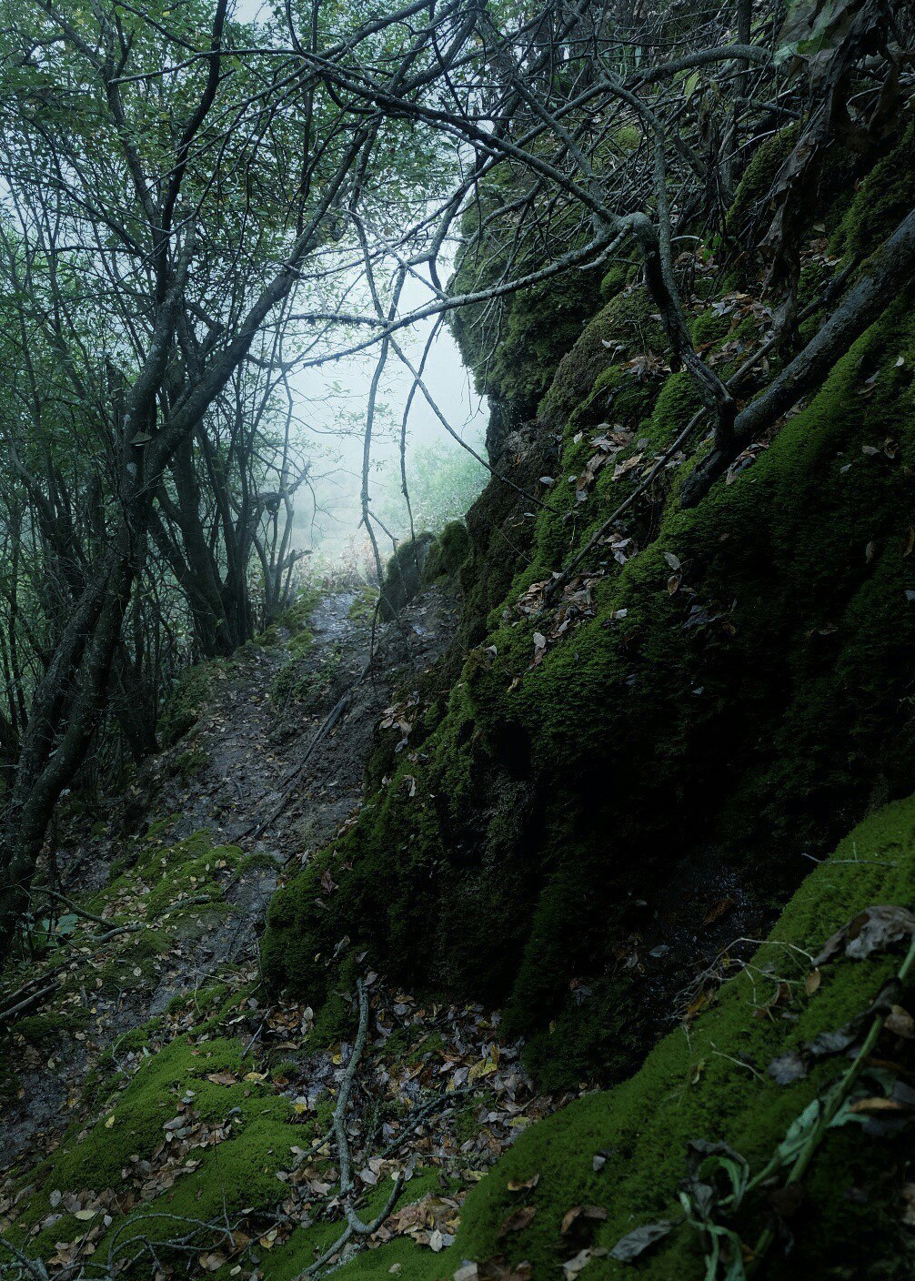 Tyzyl Gorge, Caucasus - My, Landscape, The photo, Tourism, The mountains, Caucasus, Longpost, Fog, 