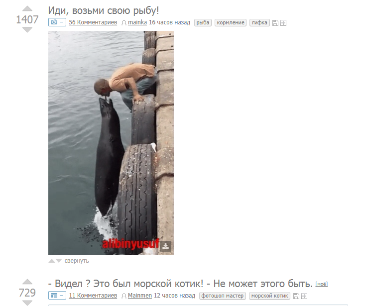 Coincidence - Repeat, Accordion, Fur seal, Matching posts