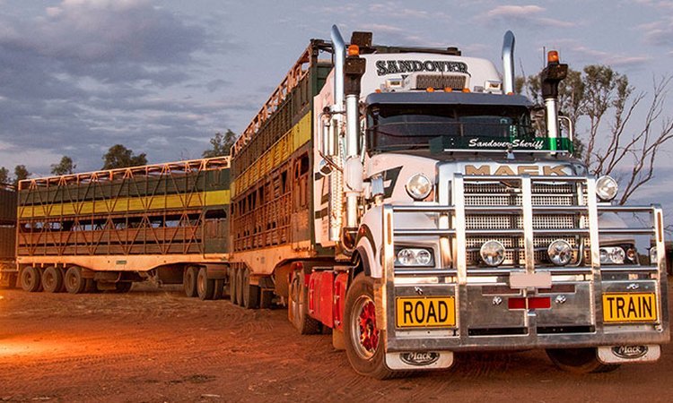 Грузовое обозрение: новый австралийский road train, пробег старых Мерседесов и прочее — Авторевю