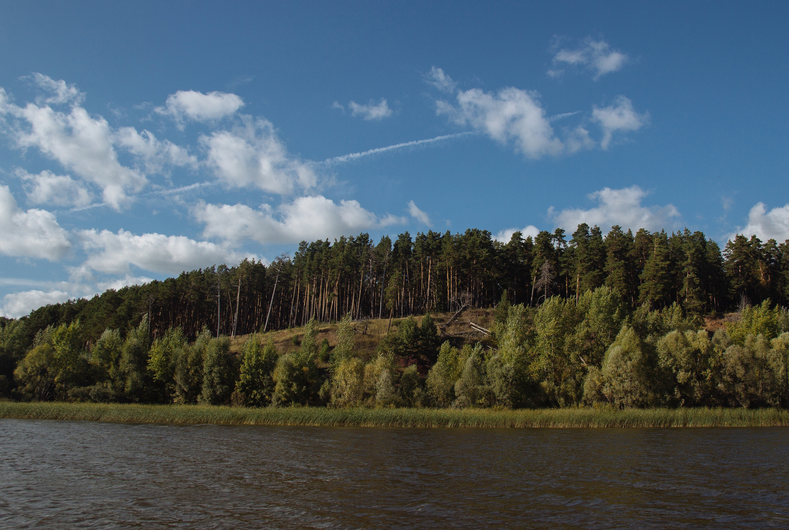 Last warm days - My, Autumn, The photo, Nature, Tatarstan, Longpost