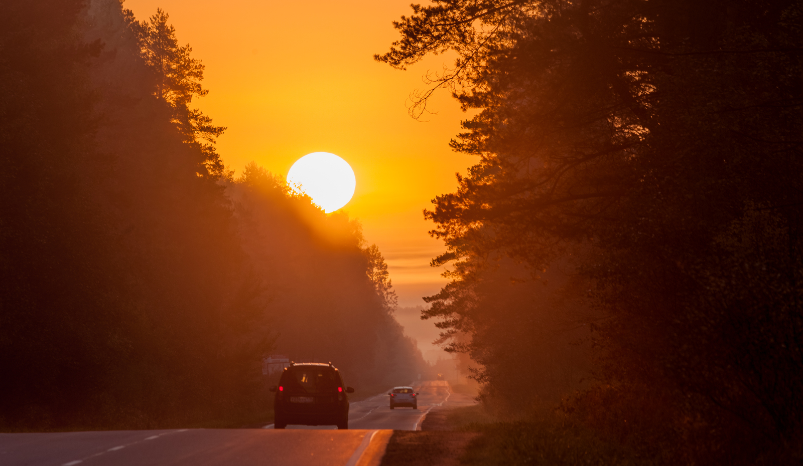 Foggy good morning to you, Peekaboo! - My, The photo, Photographer, Fog, Landscape, Longpost