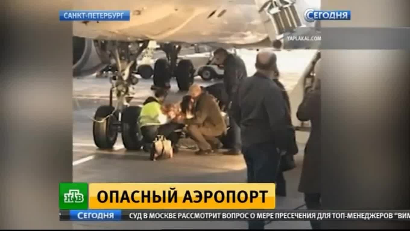 Fall from an airplane - Airplane, The fall, The airport, Incident, Injury, Police, Saint Petersburg, Video, Longpost