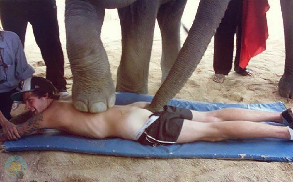 constipation remedy - NSFW, Elephants, Person, Massage