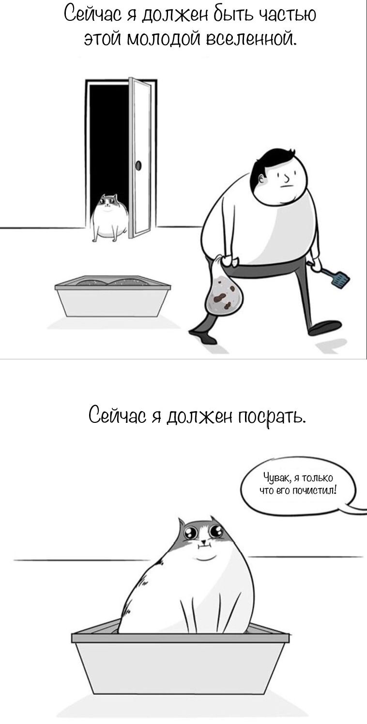 Коты =) - Кот, Космос, Длиннопост, The Oatmeal