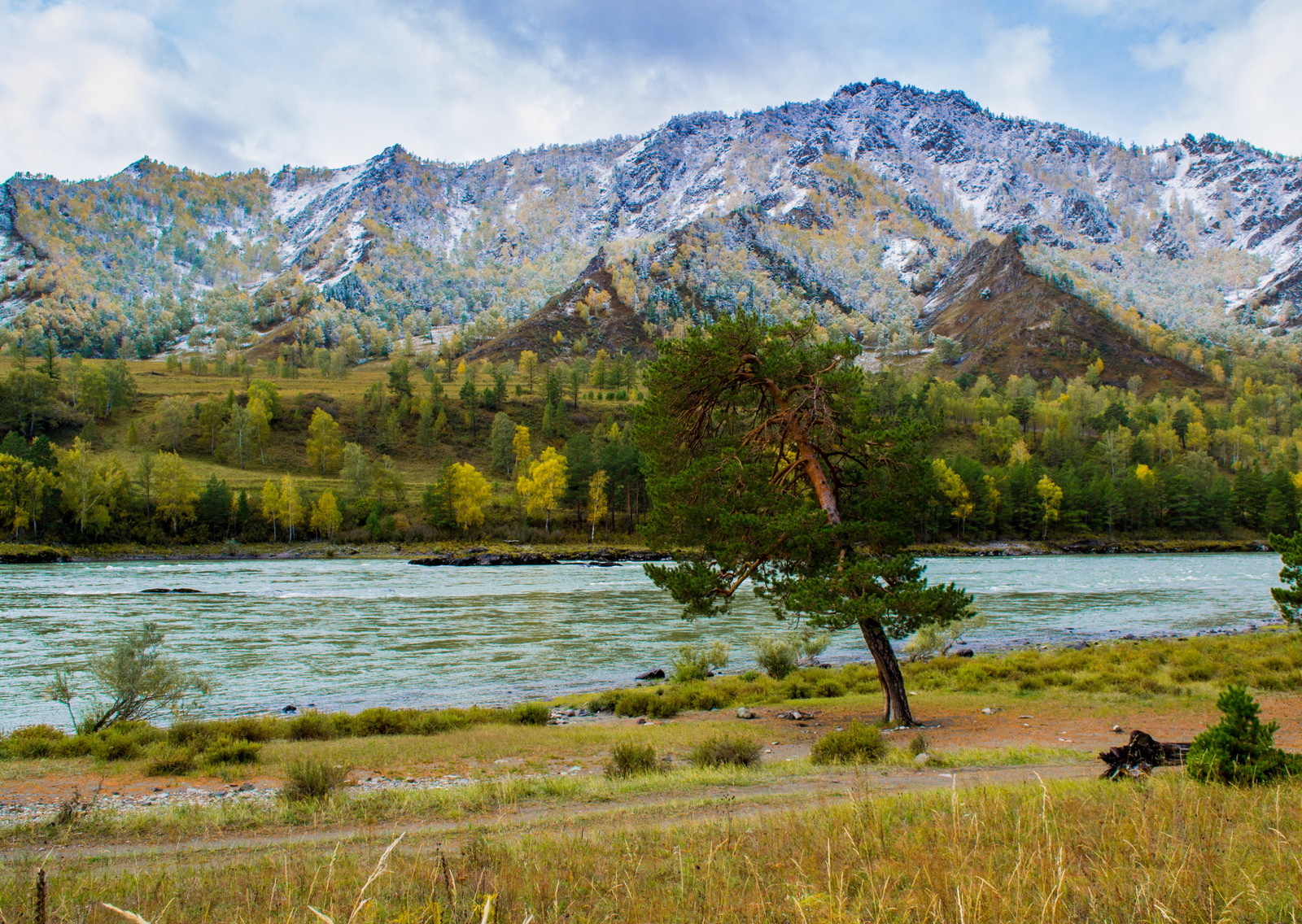 Oroktoy bridge, Teldekpen rapids. Up the Katun. - My, Mountain Altai, Chemal district, Oroktoi Bridge, , Nature, Autumn, Mountain tourism, Longpost, Altai Republic