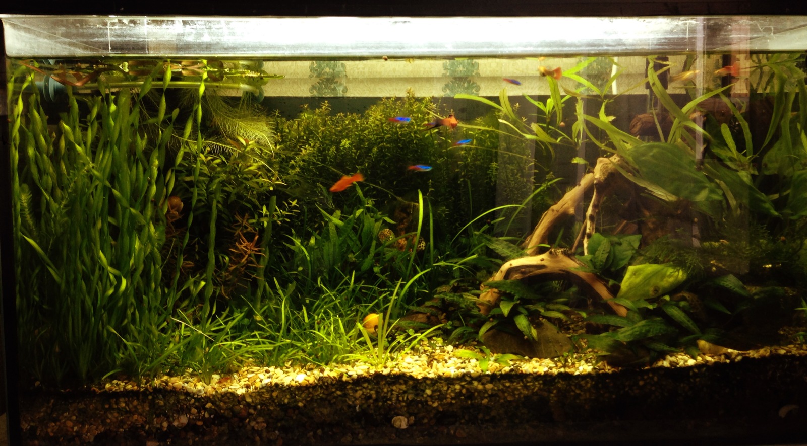 Aquarium - My, Aquarium, With your own hands