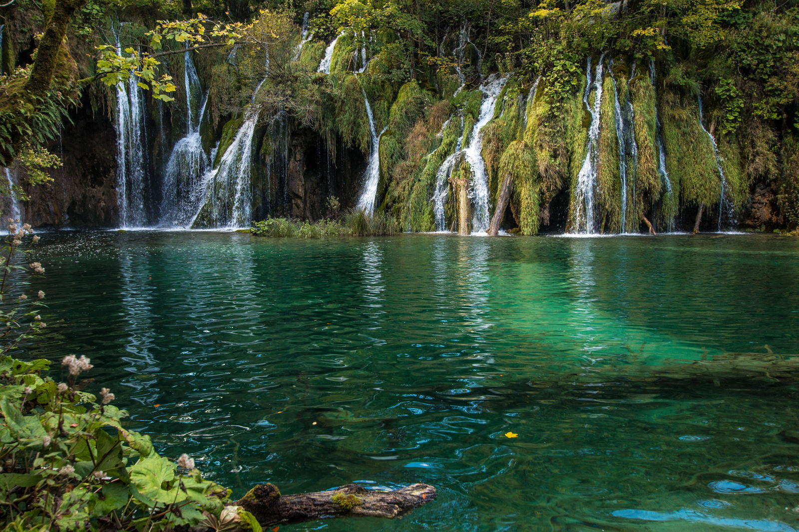 Plitvice lakes. Croatia - My, The photo, My, , Longpost