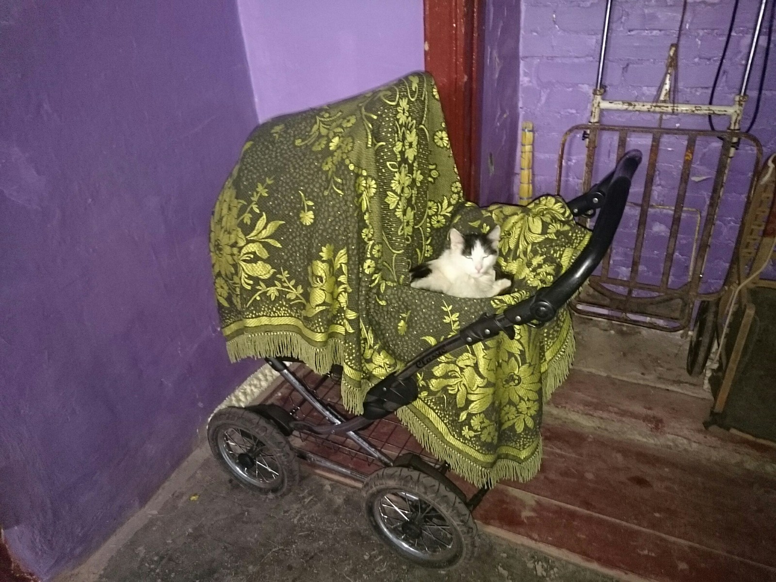 They thought that if they hide the stroller under the stairs, I won't find it. - My, cat, Stroller, Photo on sneaker