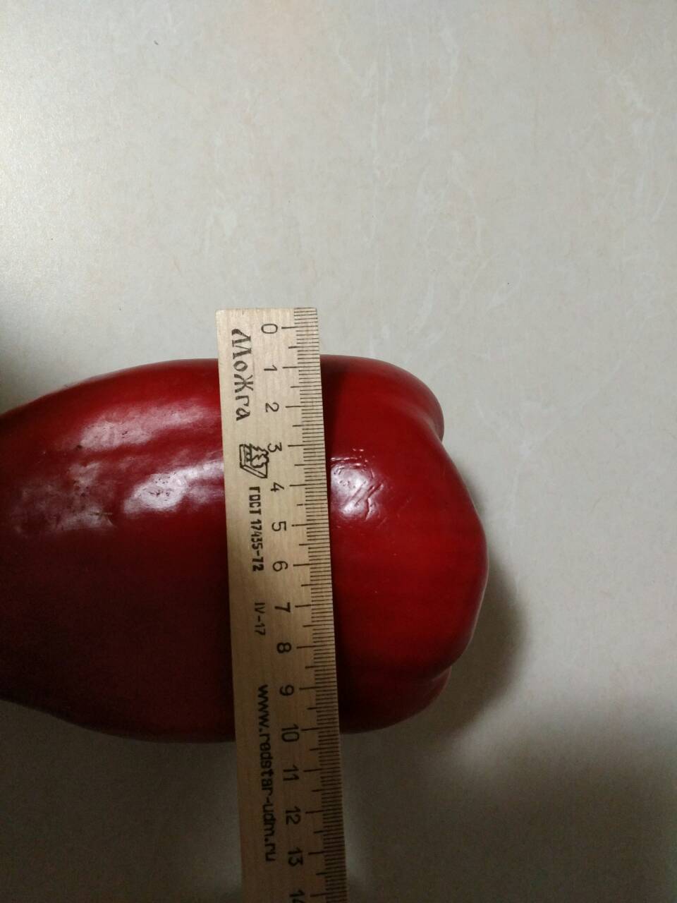 New record? - My, Dacha, Garden, Bell pepper, Monster, Longpost