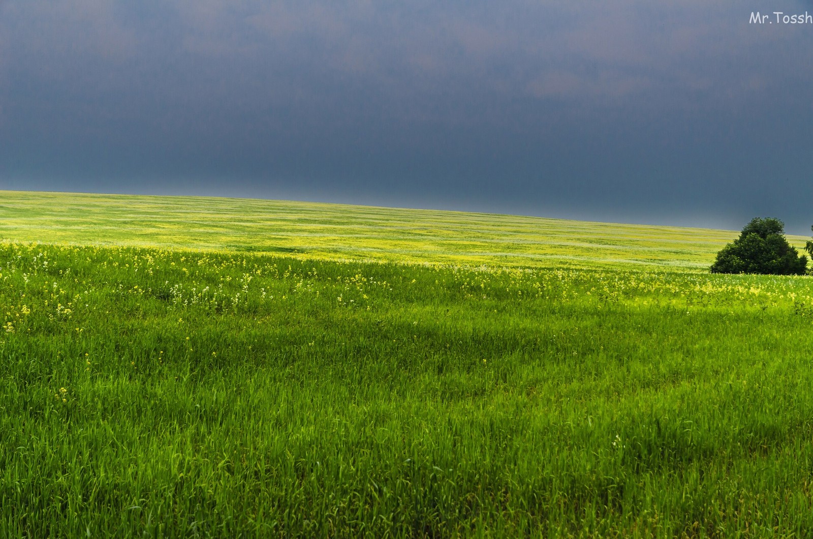 Anxious serenity - My, Irkutsk region, Irkutsk, Siberia, Serenity