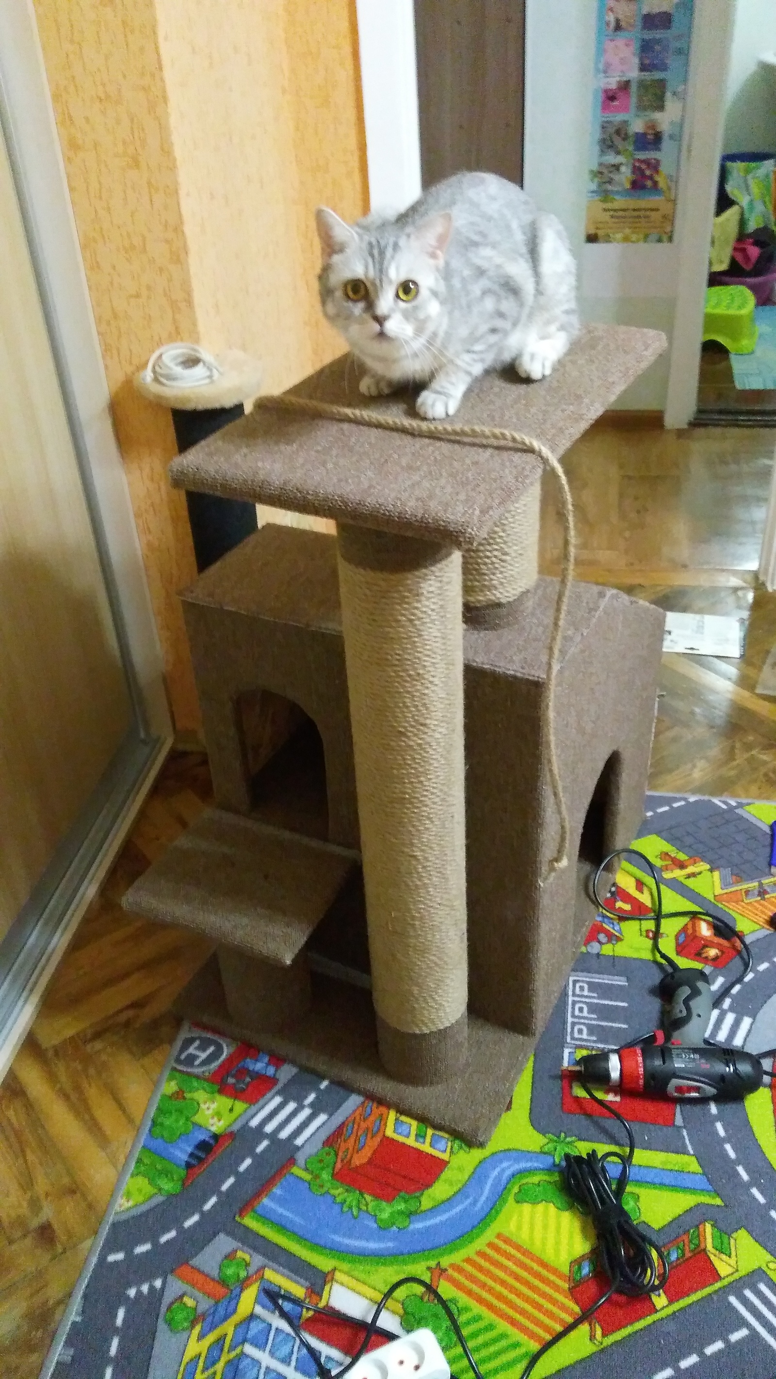Кошкин дом домашний. Домик для кошек. Домик для кошки с когтеточкой. Домик для кошки из картонной коробки. Кошкин домик.