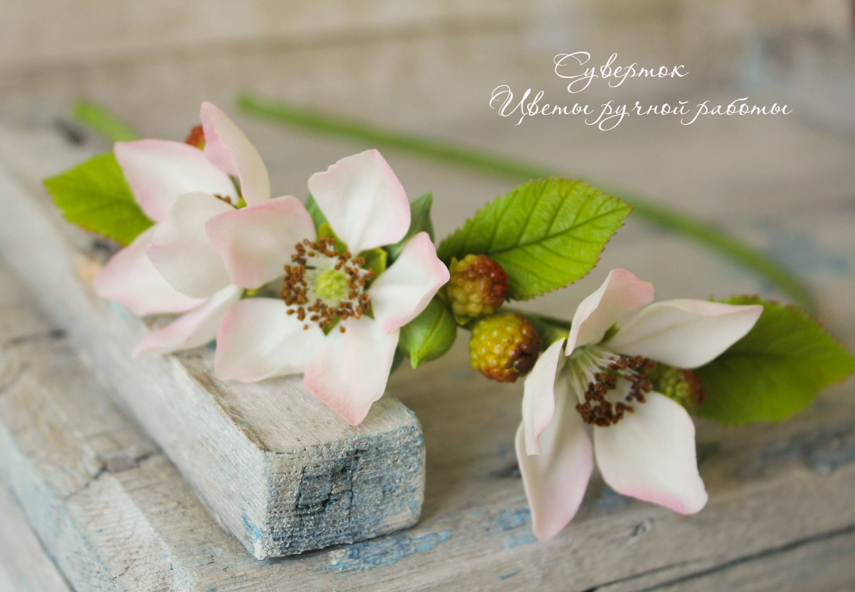 My new work) Blossoming blackberry from cold porcelain - My, My, Polymer clay, Polymer floristry, Cold porcelain, Лепка, Handmade, Needlework, Creation, Longpost