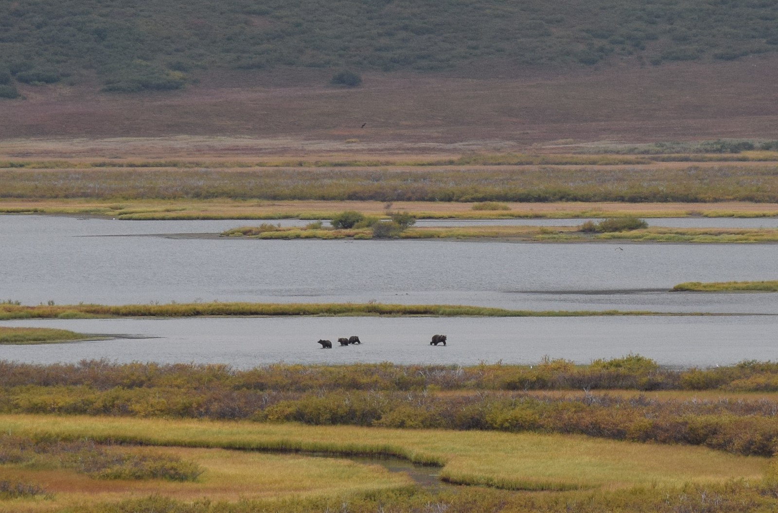 Geological expedition to the north of Kamchatka. - Longpost, The photo, Travels, Geology, Geologists, Kamchatka, My