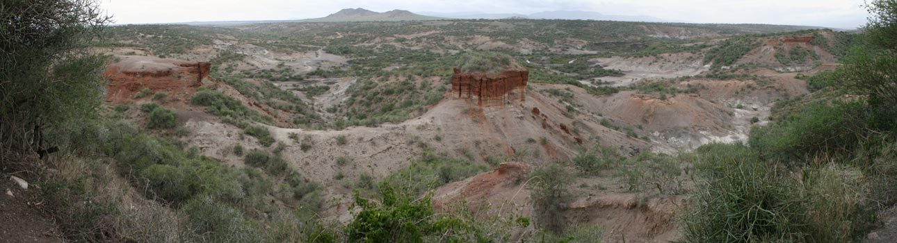 Louis and Mary Leakey and the dynasty of paleoanthropologists - Anthropogenesis, , Primates, Biography, The science, Longpost