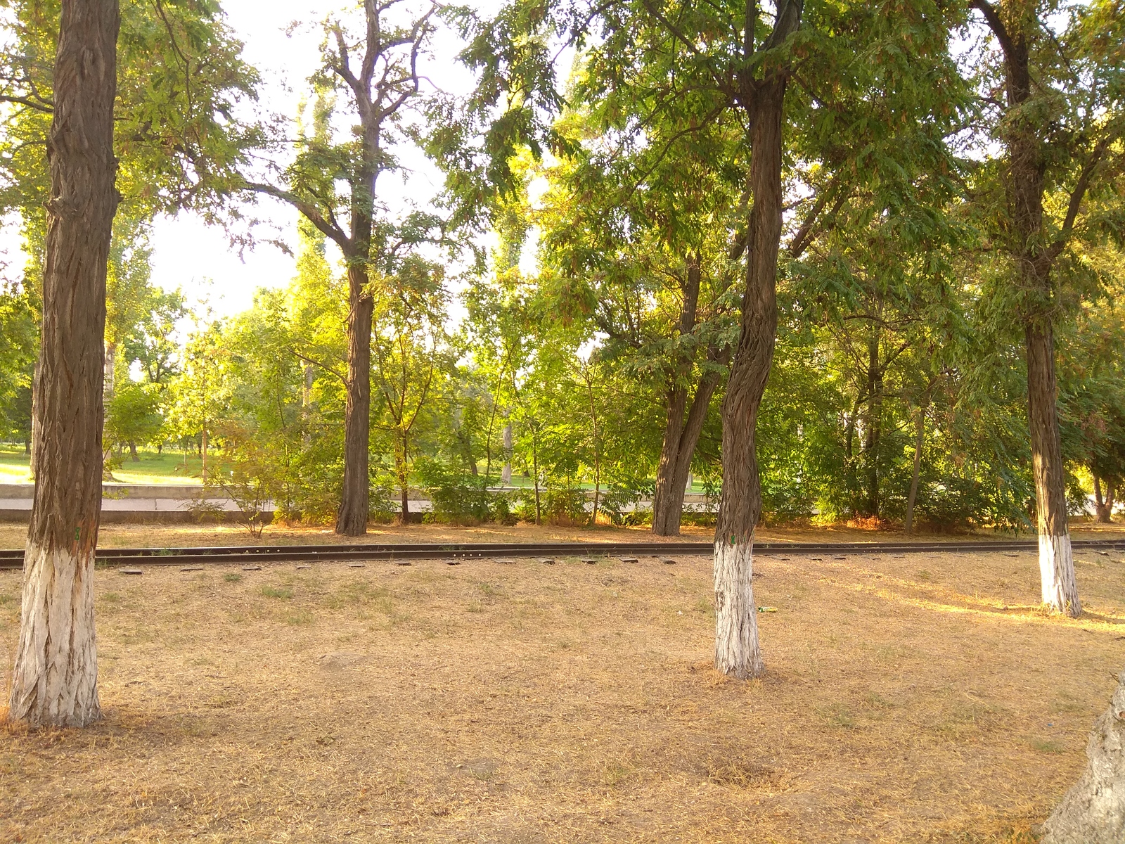 Tashkent. Former Komsomolskoye lake. Now the National Park. - My, Tashkent, , Longpost