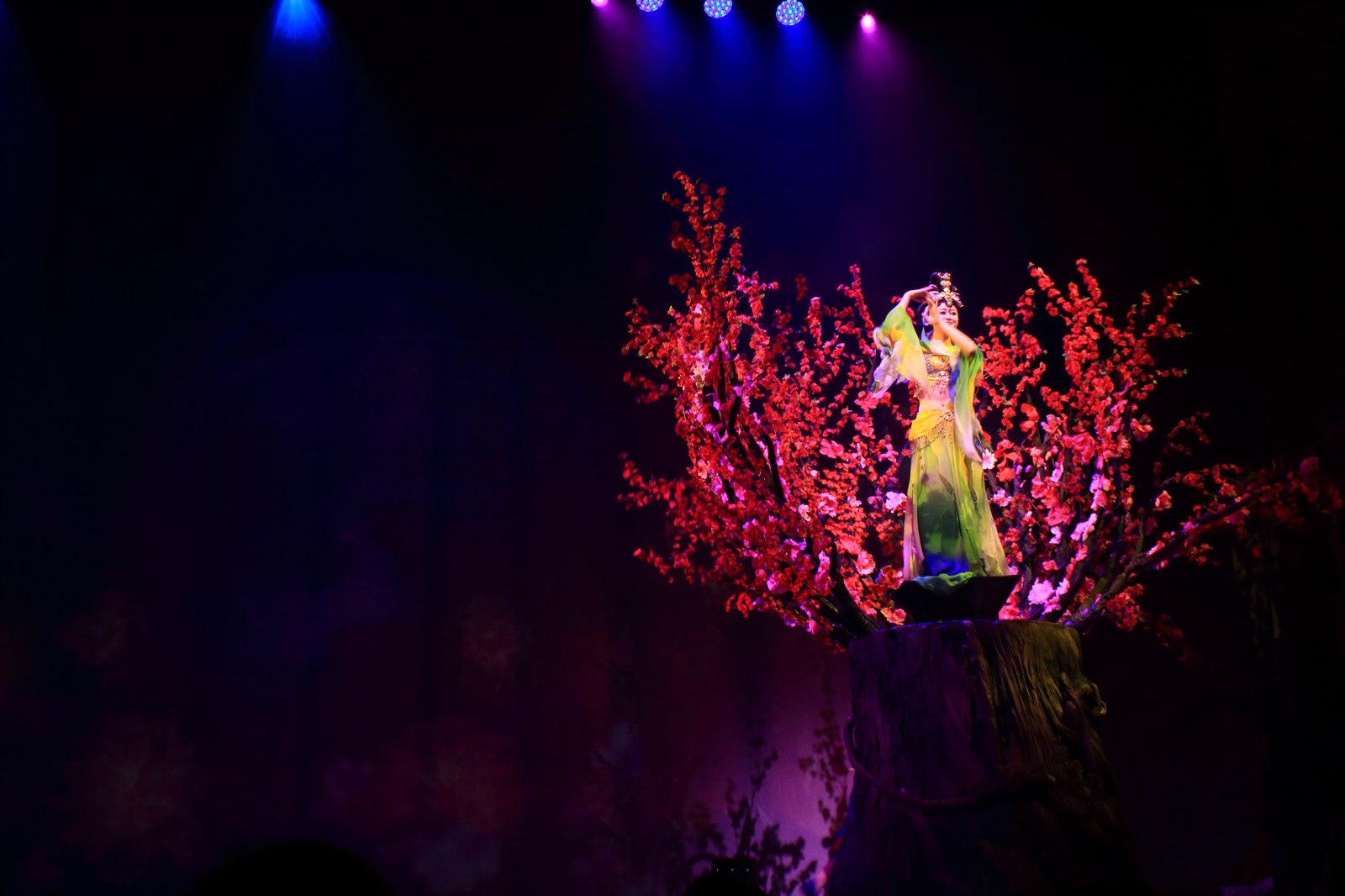 Acrobatic Show at Chaoyang Theater - My, Beijing, , China, Celestial, East, Longpost, Video