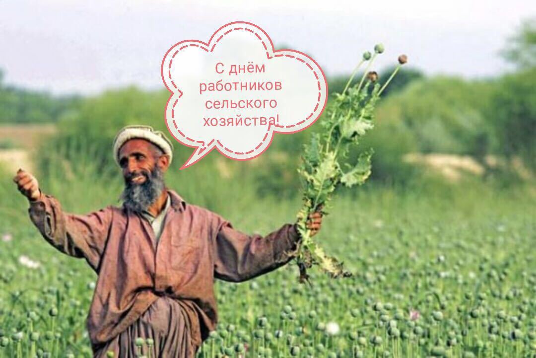 Happy holiday, friends. - Agricultural Worker's Day, Holidays