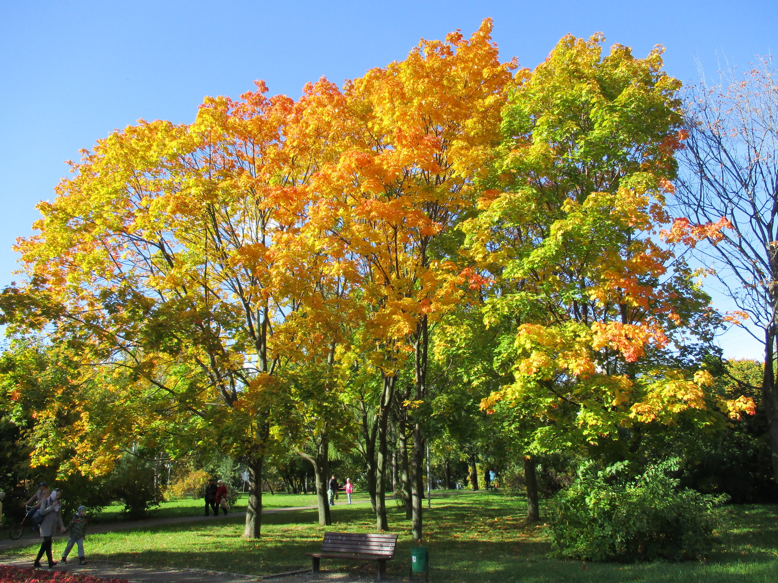 Angarskiye Prudy Park, Moscow. - My, Beginning photographer, My, Autumn, Longpost