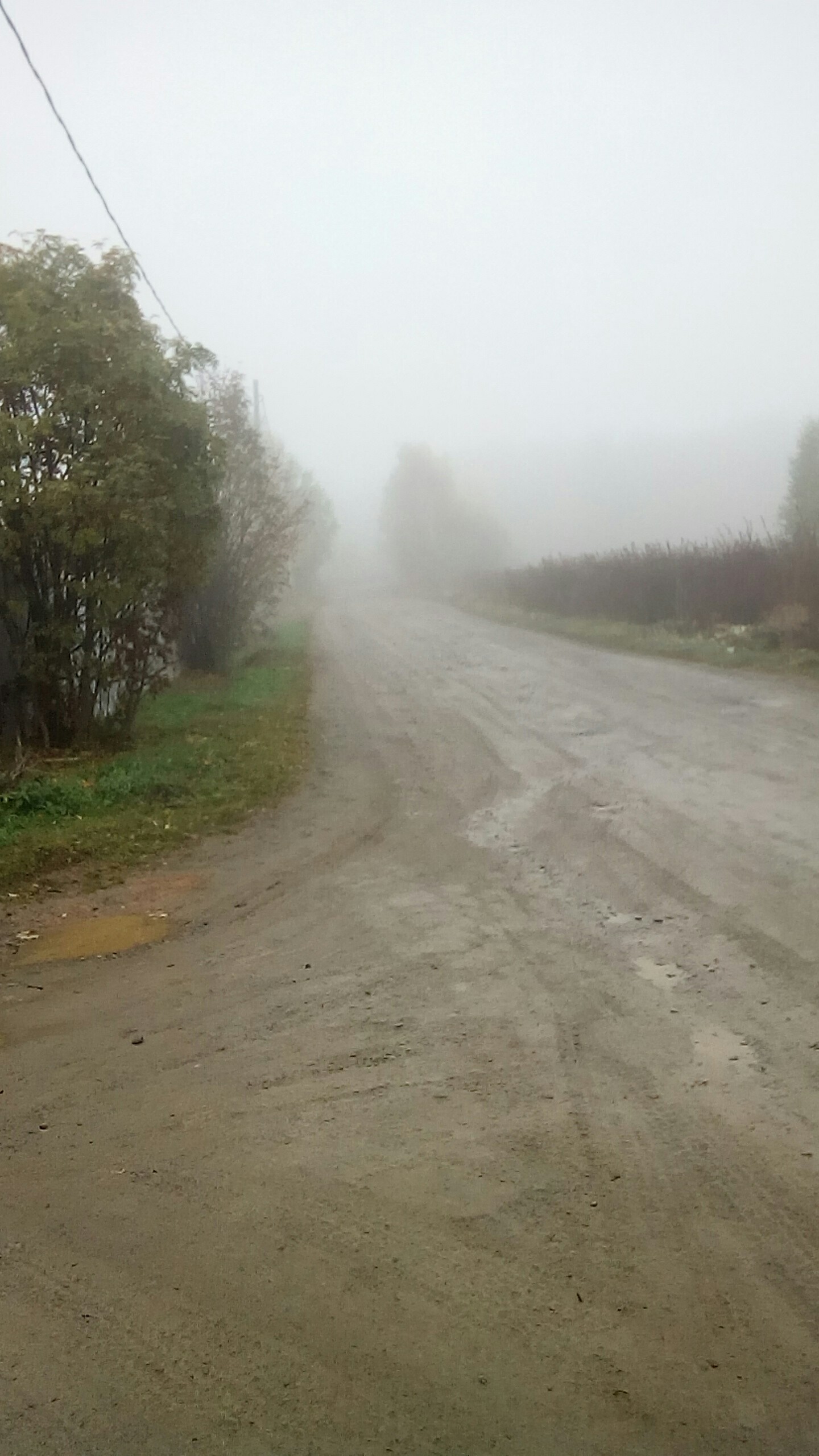 Дорога в никуда... - Моё, Екатеринбург, Фото на тапок, Шабровский, Понедельник, Длиннопост