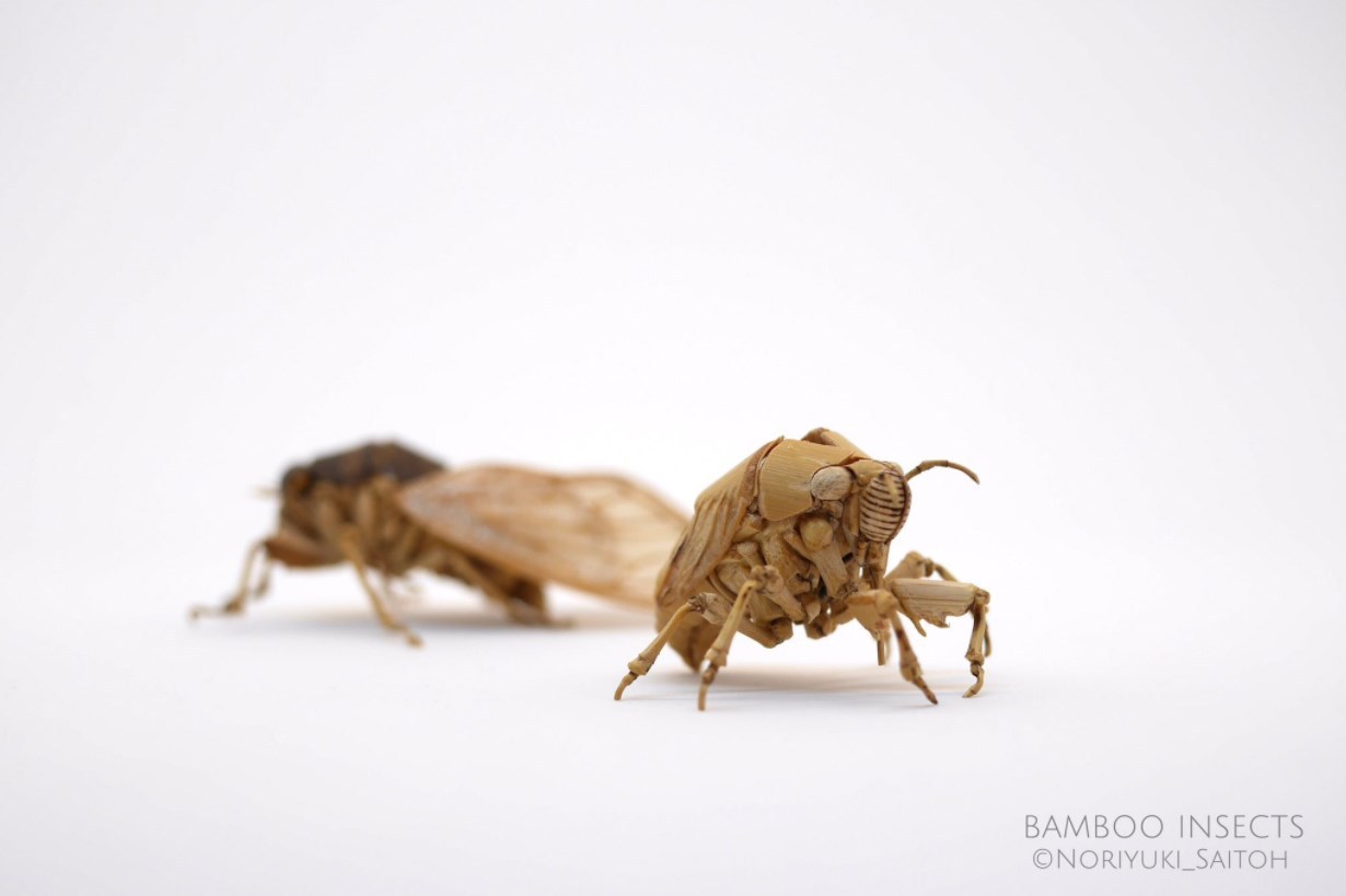 Like real ones. - Sculpture, Insects, Bamboo, Art, Art, Zanamiclub, Longpost