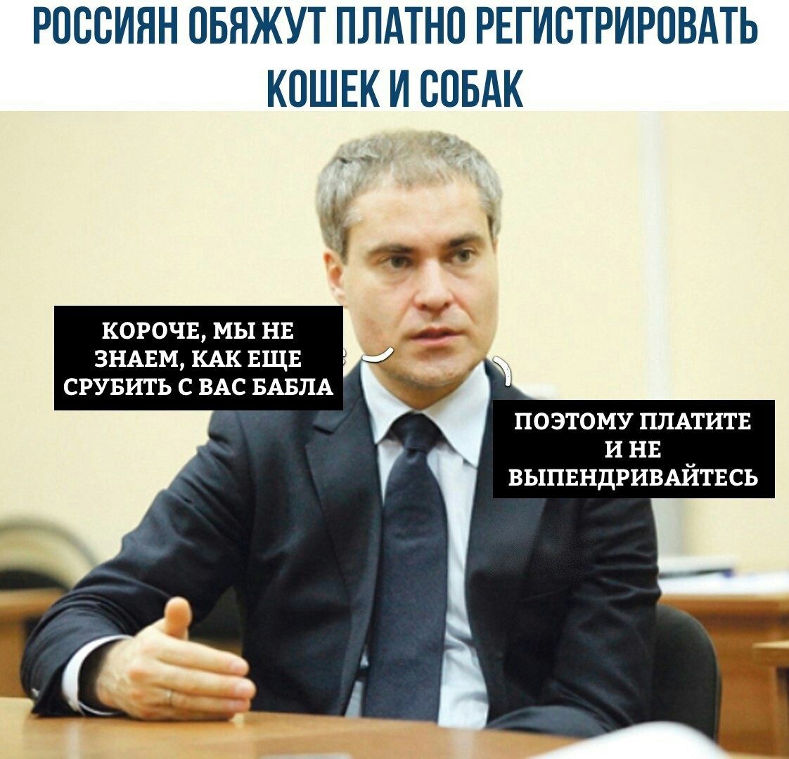 Налог на домашних животных в России в 2019 году советуем Налог на домашних животных в России в 2019 году рекомендации