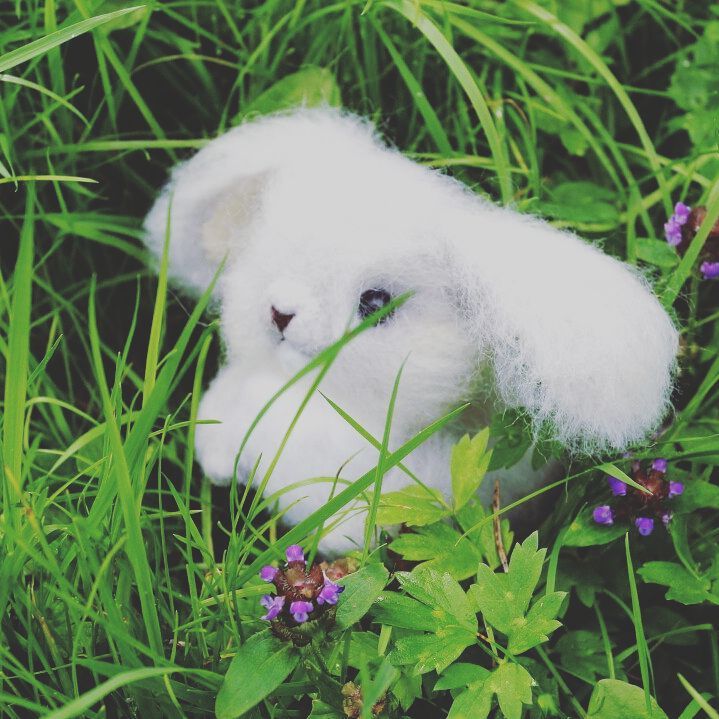 Wool bunny. Made in the technique of dry felting. - My, Hare, Rabbit, Dry felting, Author's toy, Soft toy, Wool, Handmade, Wallow, Longpost