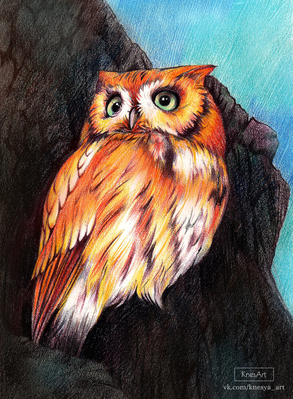 сова рисунок. сова сипуха черная. карандаши цветные "животные". сова рисунок карандашом цветным. сова рисунок.