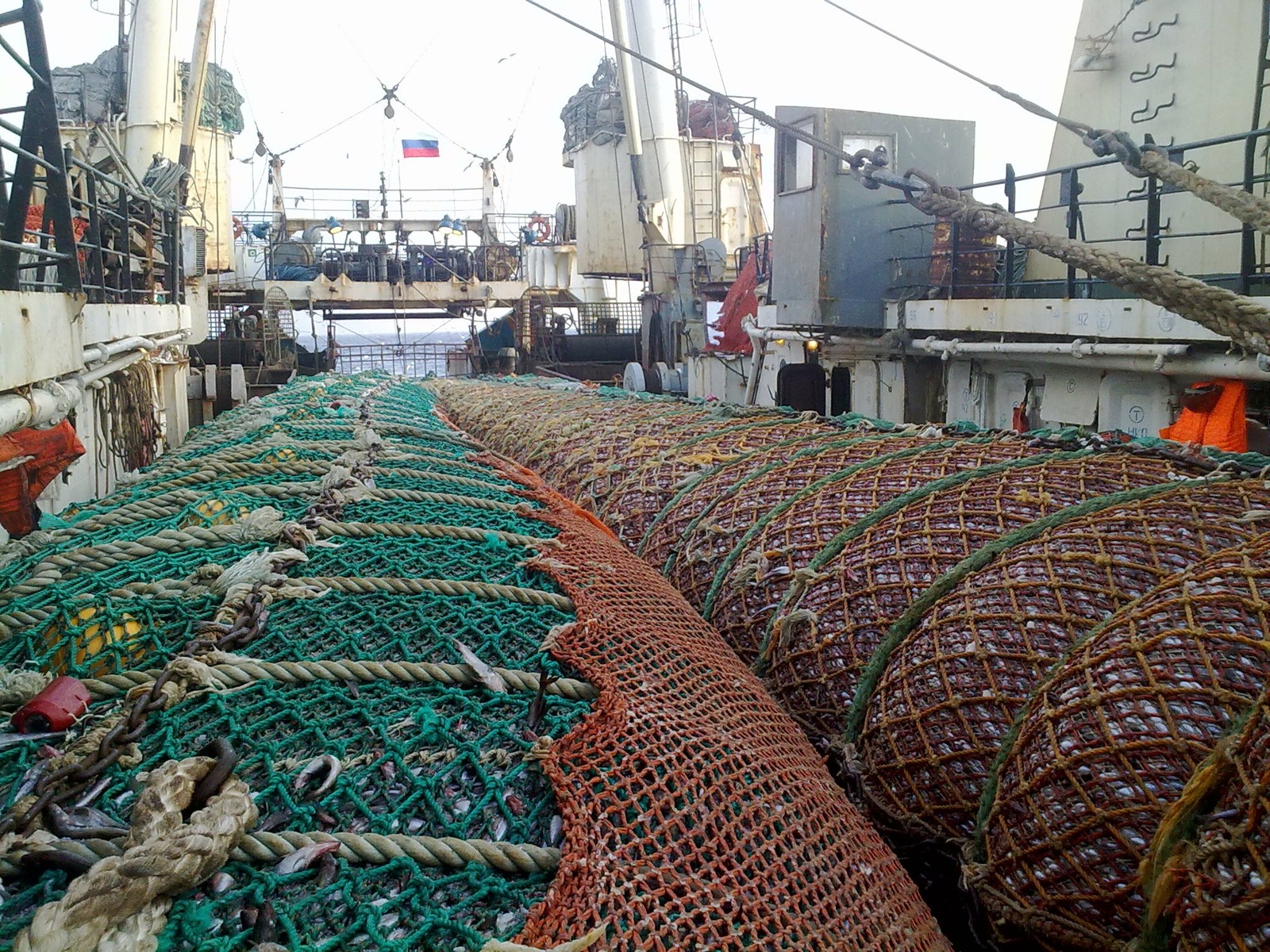 Общий допустимый улов. Добыча рыбы. Рыбный промысел трал. Промысел минтая. Добыча рыбы на Дальнем востоке.
