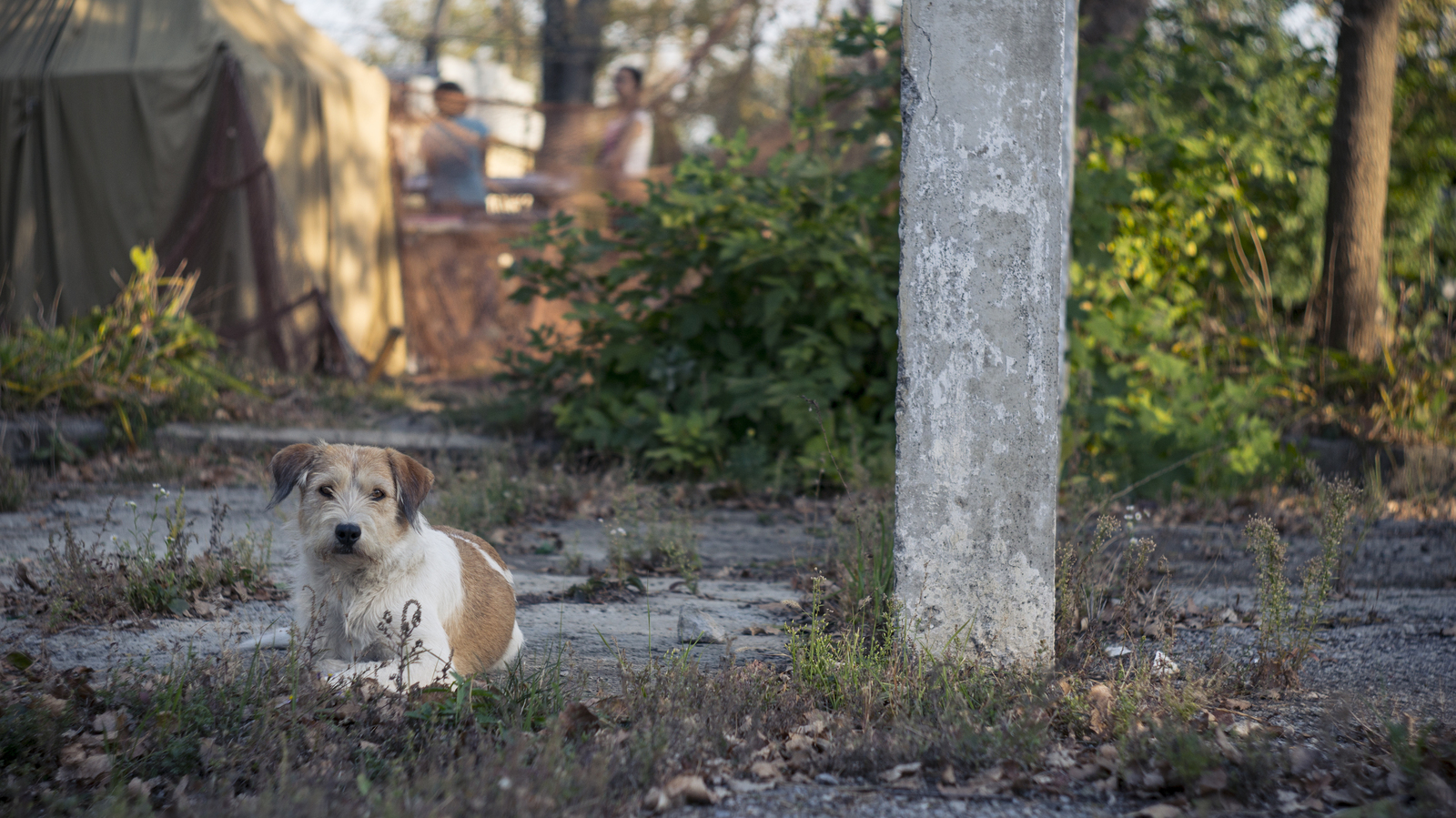 Forgive us, Gagarin... - My, Yuri Gagarin, Rostov-on-Don, Story, Photostory, The photo, Longpost