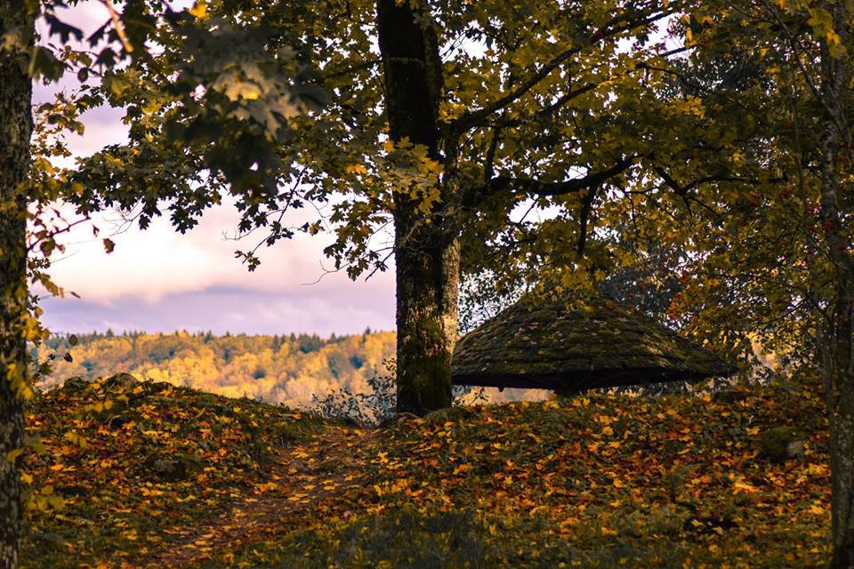 Autumn in the Baltic States - Sigulda - My, Sigulda, Latvia, Autumn, , Longpost