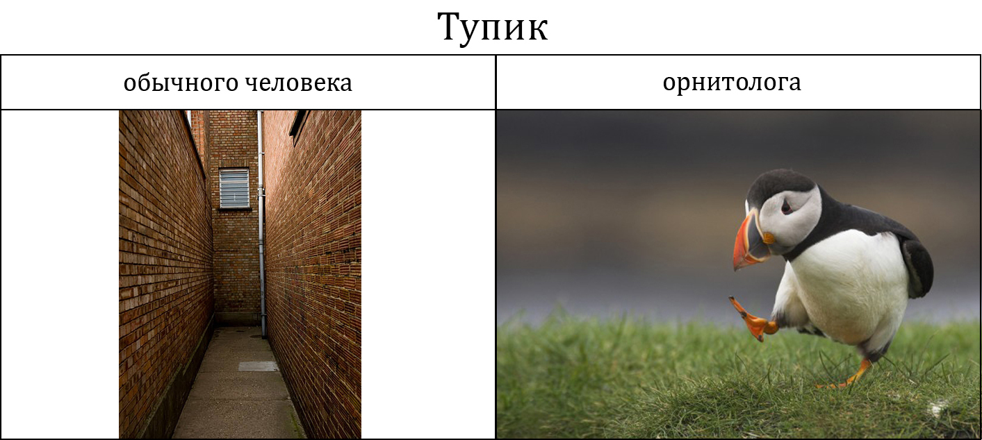 Звонарь курильщика - Орнитология, Птицы, Юрий Хованский, Рэпер Гнойный, Джейсон Стейтем, Длиннопост