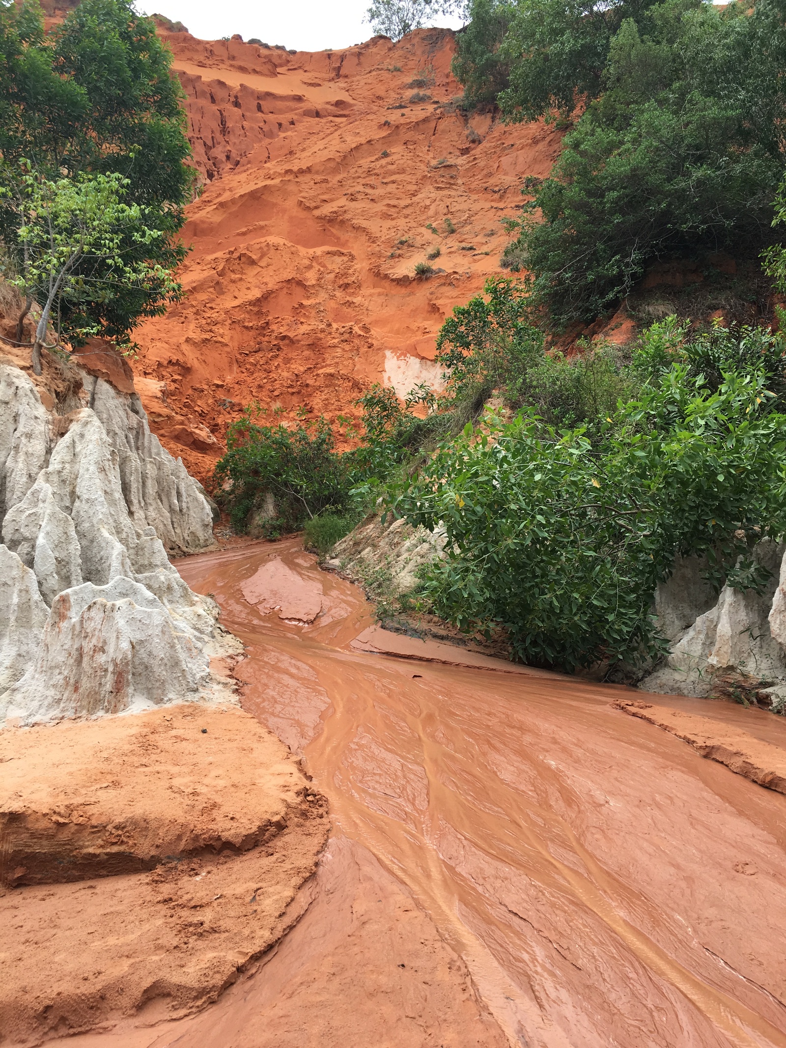 Phan Thiet - My, Travels, Vietnam, The photo, Nature, Longpost