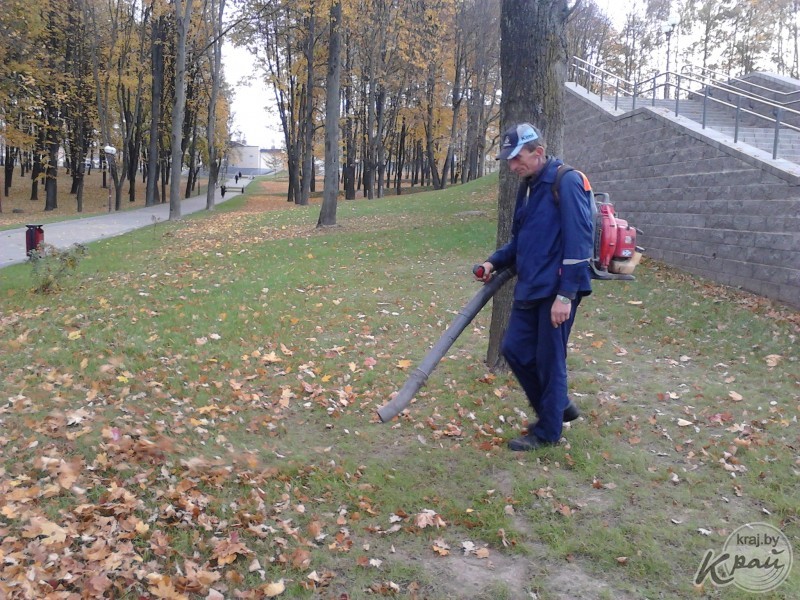 About autumn and noise - My, Autumn, Vetroduy, Leaves, Leaf fall, Rake, Noise