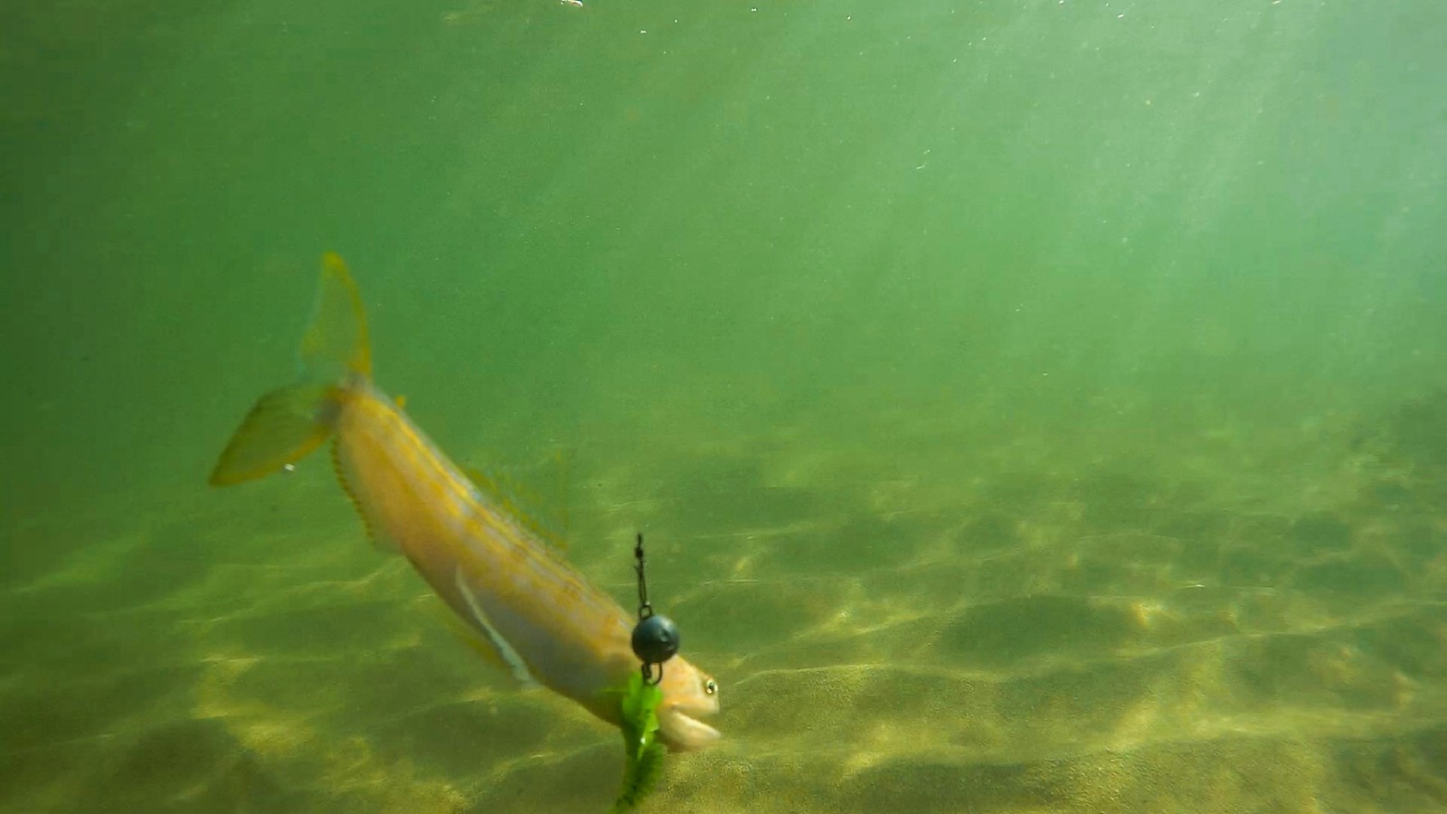 Каменная рыбалка. - Моё, Рокфишинг, Рыбалка, Rockfishing, Ящероголов, Морской окунь, Lizardfish, Mefik, Видео, Длиннопост