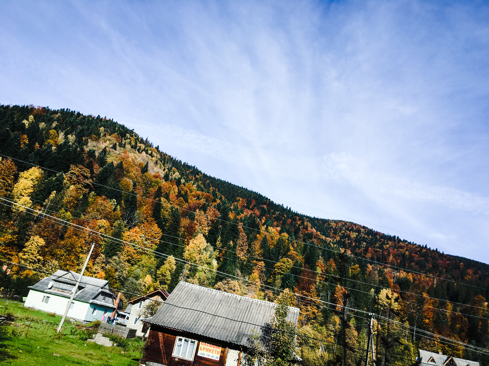 Bright autumn - My, Autumn, What is autumn, beauty of nature, Nature, Brightness, Longpost