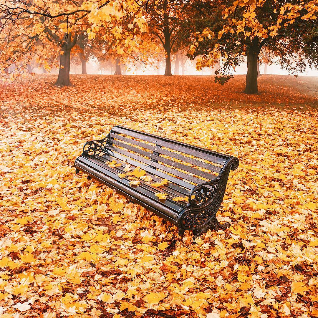 What is autumn like in October? - Autumn, The park, October, The photo, Leaves