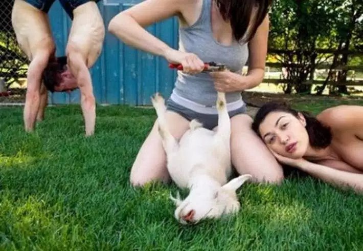 What the fuck is going on here? - Goat, Yoga, Grass