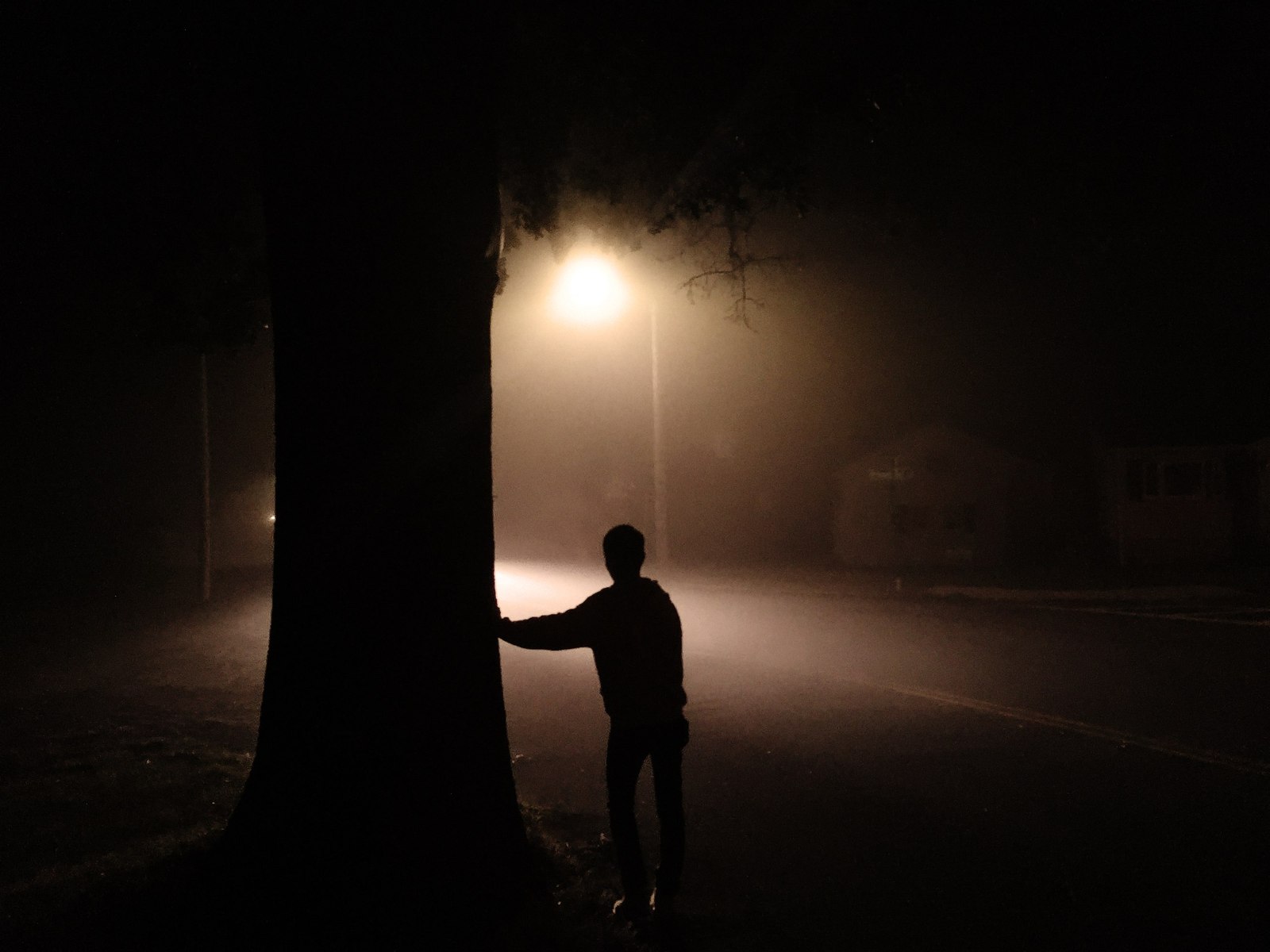 misty walk - My, The photo, Beginning photographer, I want criticism, Fog, Silhouette, Longpost