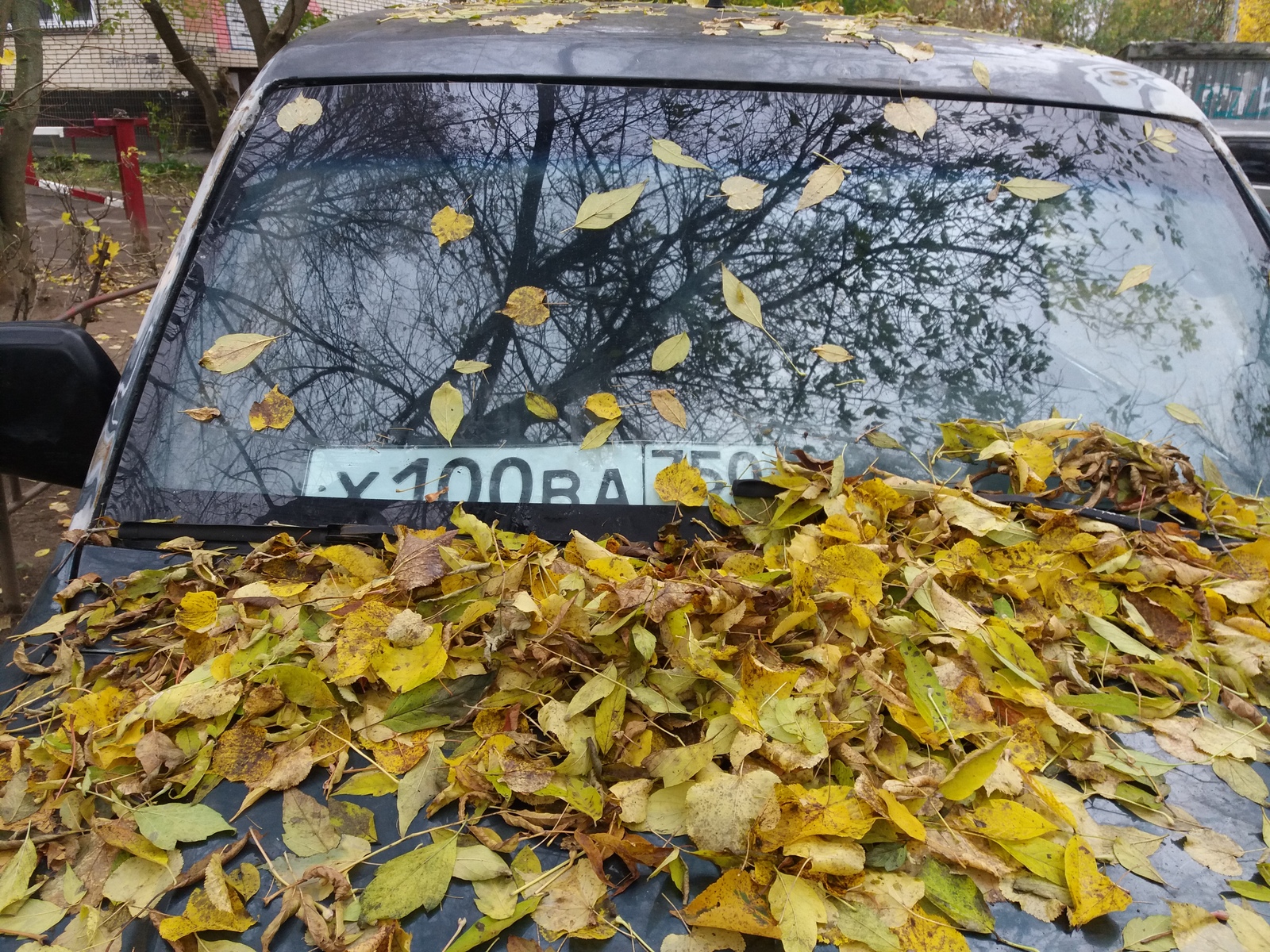 Whose car? - My, Abandoned cars, Podolsk, Longpost