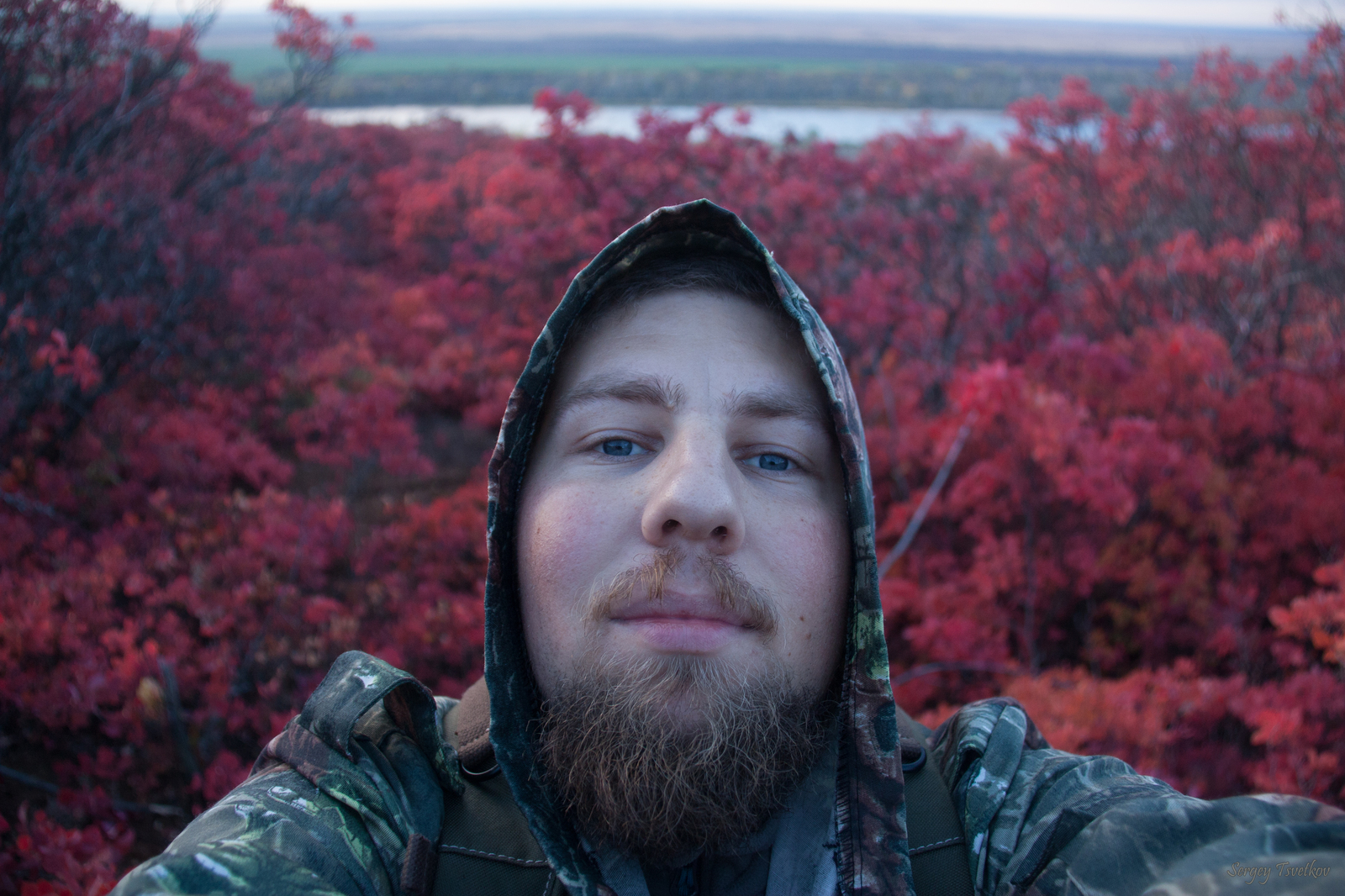 Red Forest #2 - My, My, Nature, The photo, Russia, Forest, Longpost