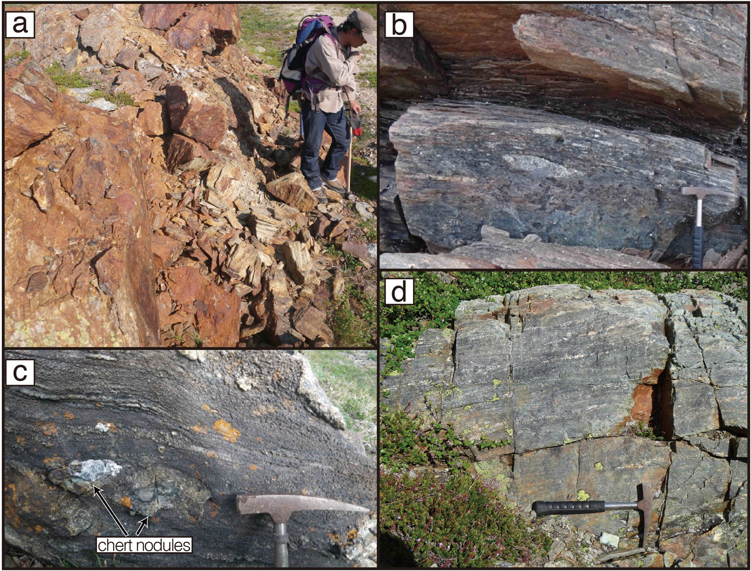 Probable traces of life 3.95 billion years old have been discovered. - Paleontology, Geology, Evolution, A life, The science, Interesting, Longpost