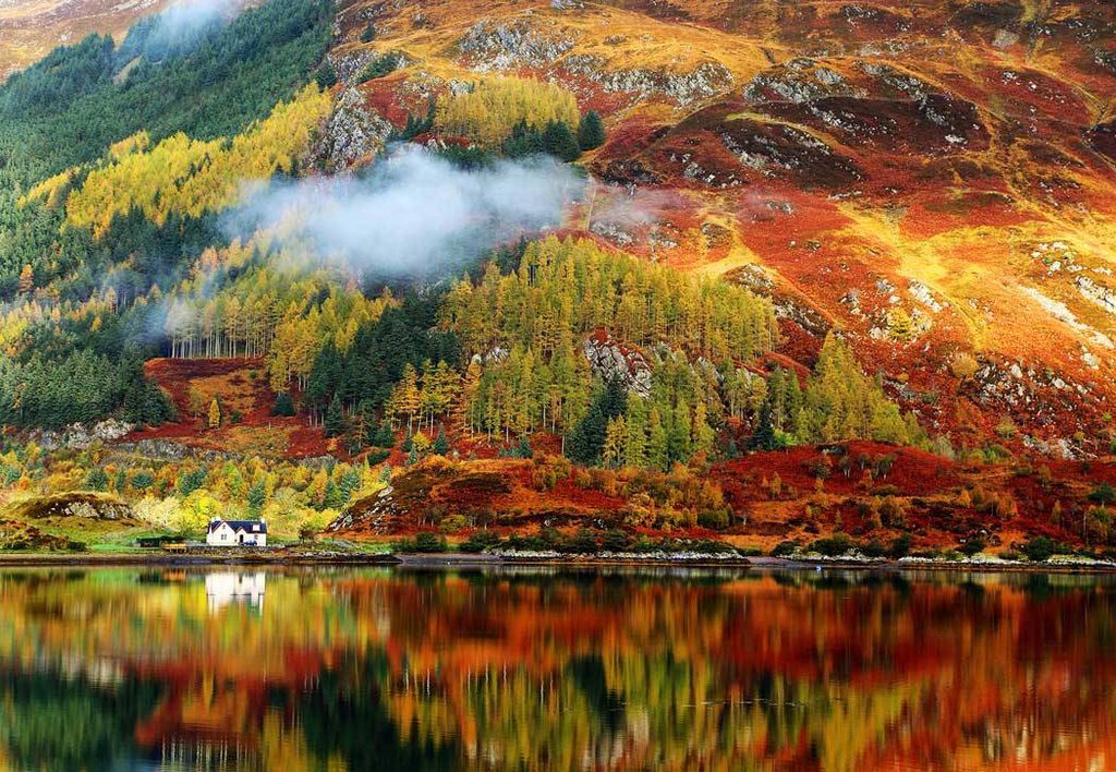 Autumn in the Scottish Highlands - Autumn, Nature, Scotland, Riot of colors