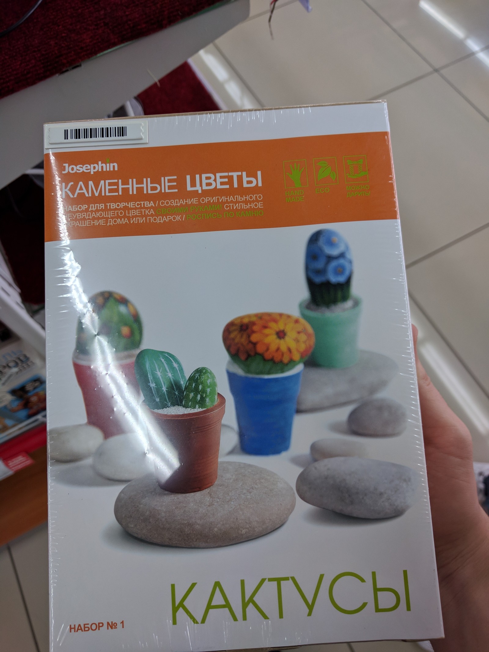 stone cacti - My, A rock, Marketing, Cactus, Longpost