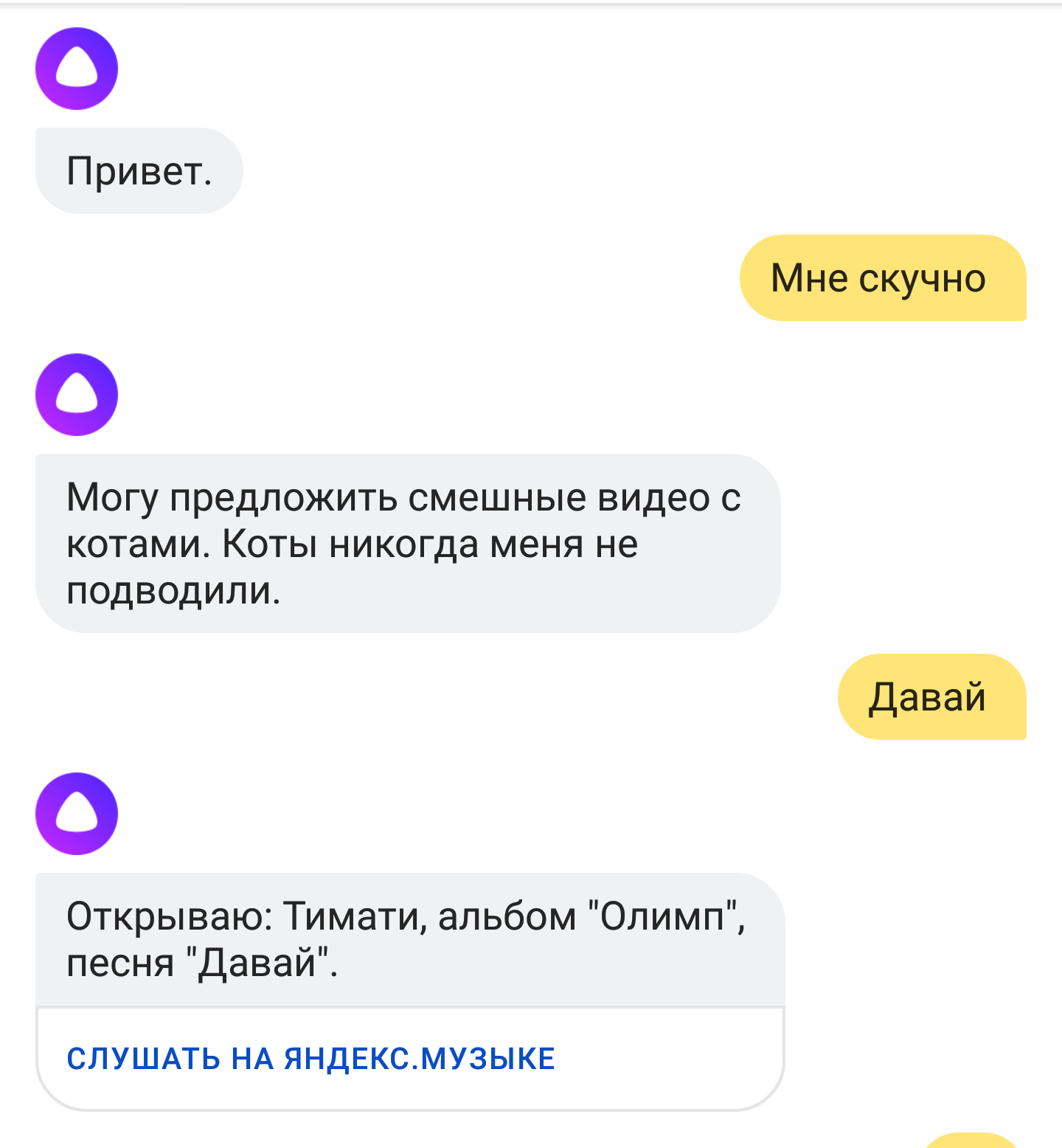 Alice, why are you doing this to me! - My, Communication, cat, Picture with text, Yandex Alice