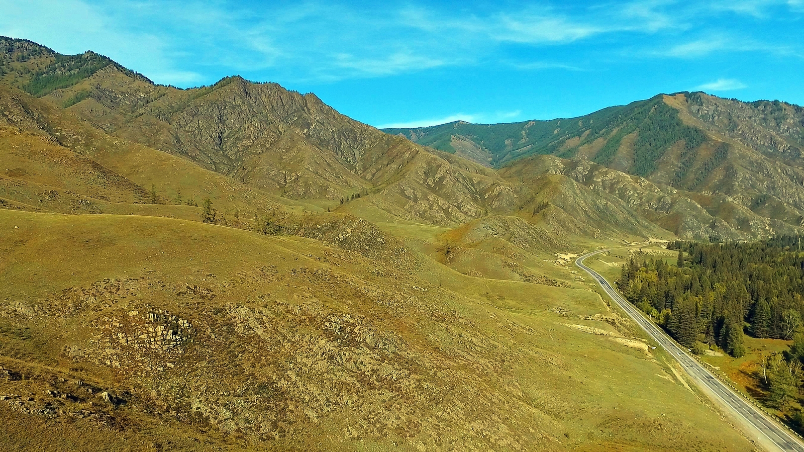 A river in the lowland of the Chike-Taman pass in Altai. - My, Altai, Mountain Altai, Chike Taman Pass, Video, Altai Republic