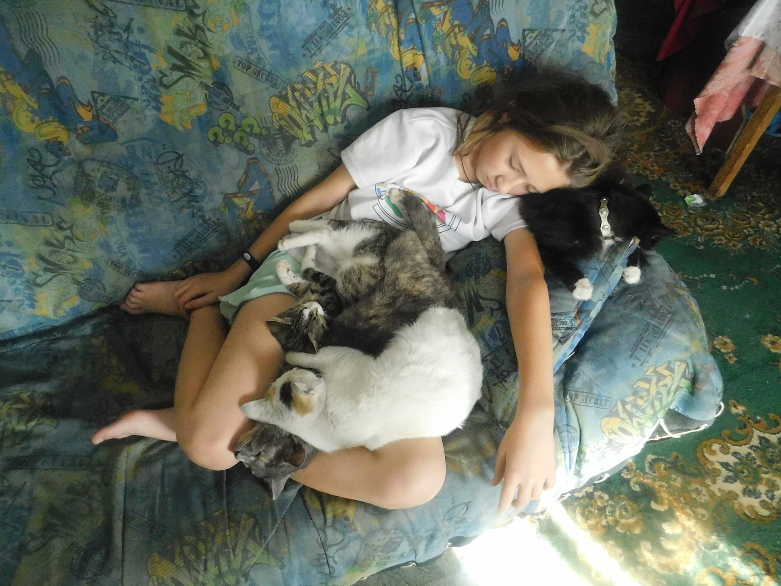 Sleep-hour - My, cat, Catomafia, Pets