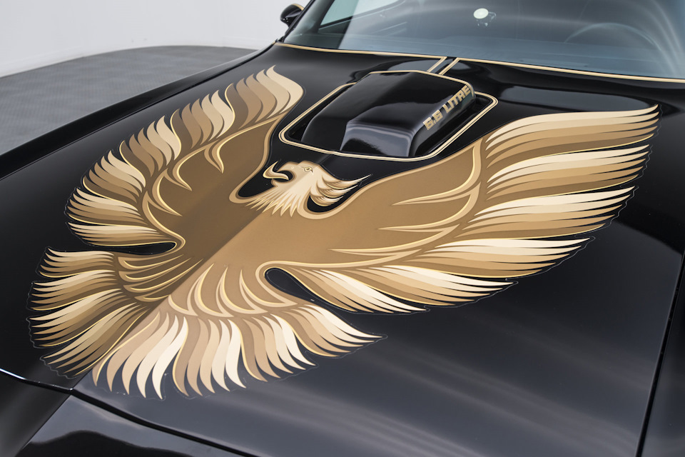 The all-NEW 1979 Pontiac Firebird Trans Am SE with an incredible story! - Burt Reynolds, Pontiac, , , Auto, Collector, Video, Longpost