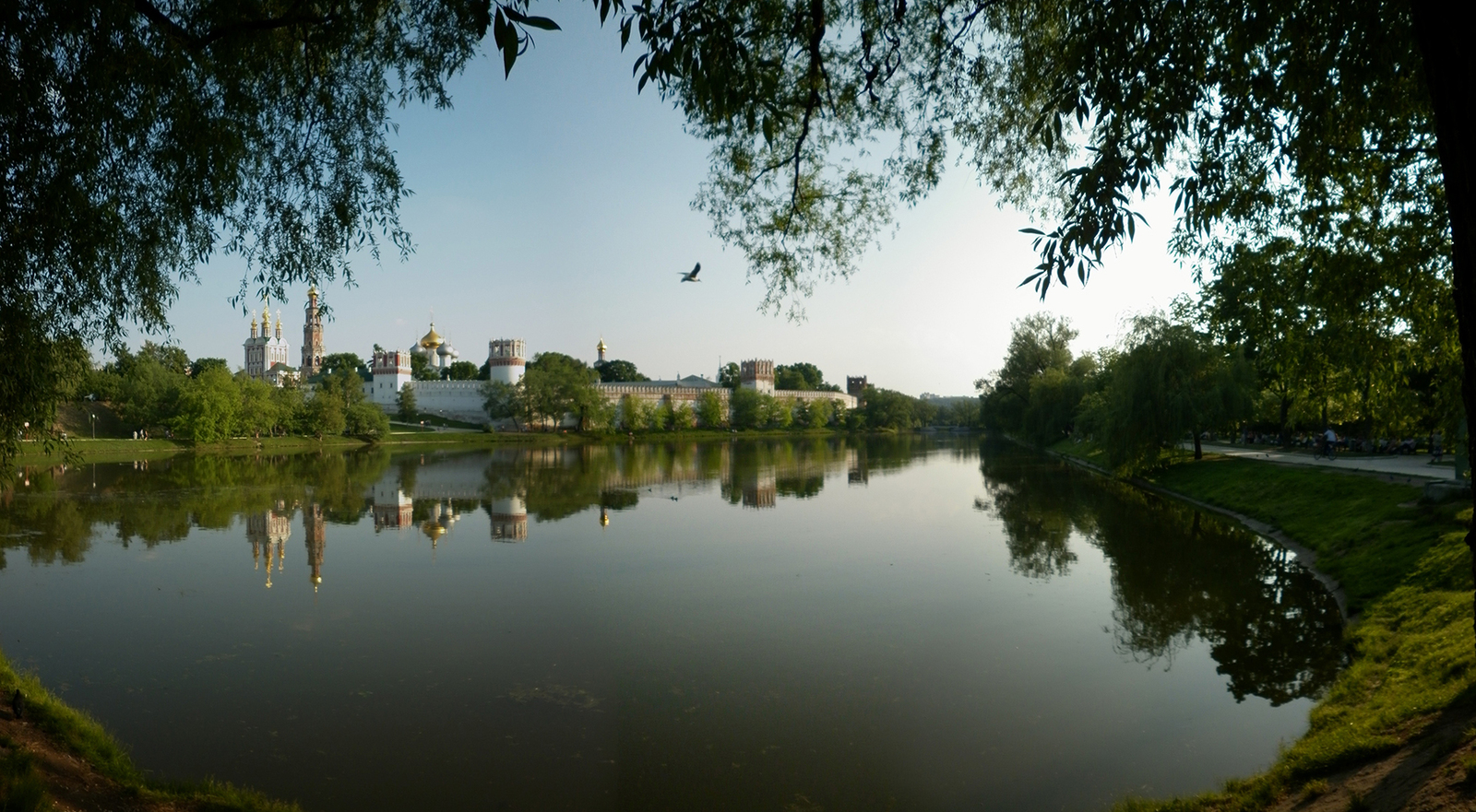 Novodevichy Convent - My, Novodevichy Convent, Панорама