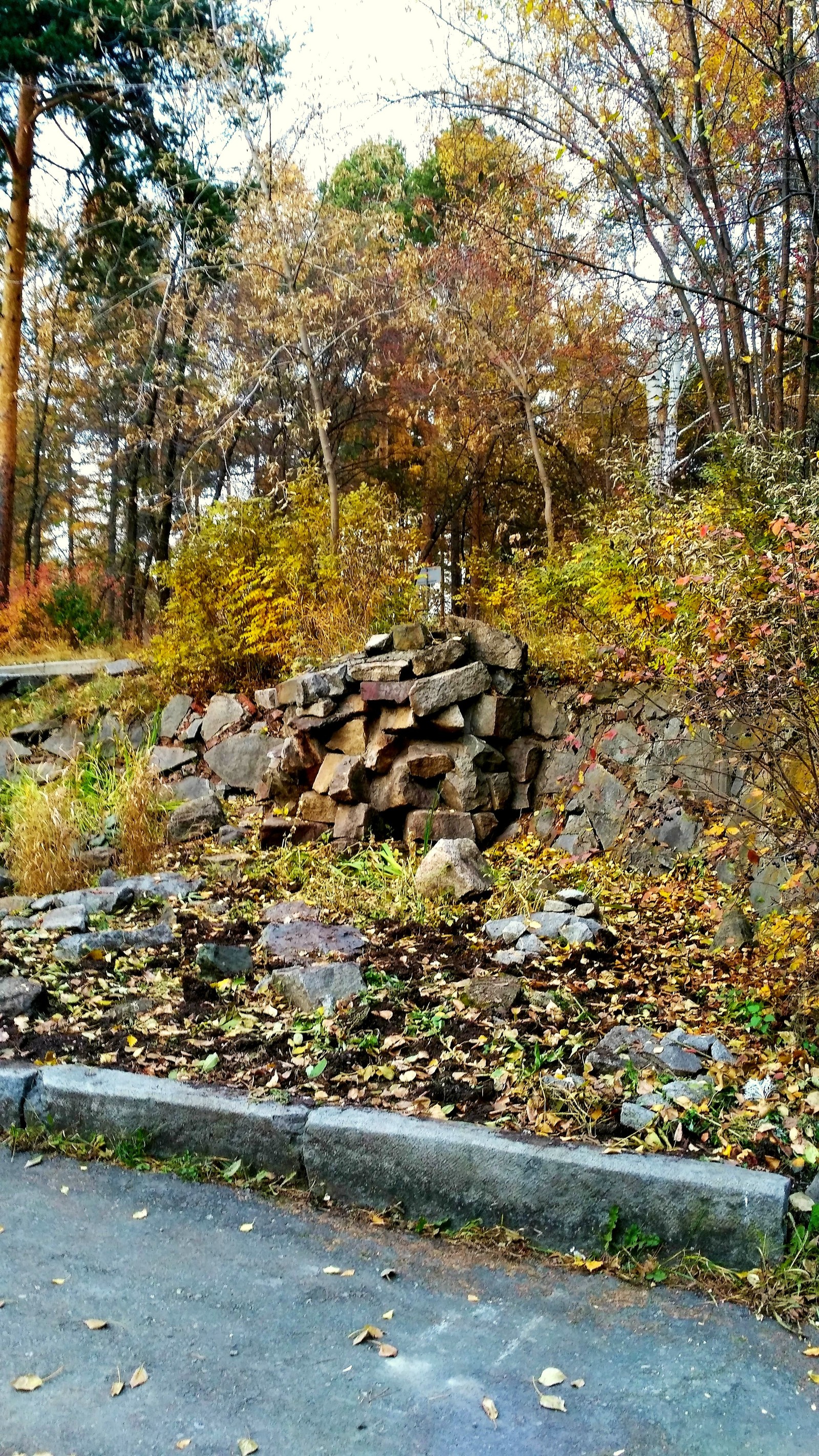 Mid autumn. - My, Yekaterinburg, , Walk, Mayakovsky Park, Autumn, The photo, Longpost